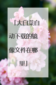 ��ײ��Զ����صľ����ļ�������