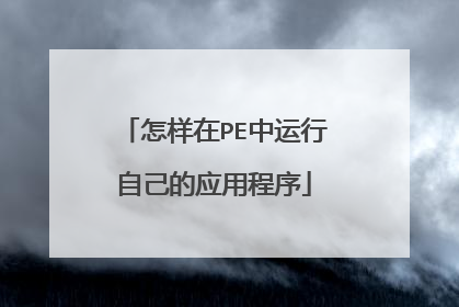 ������PE�������Լ���Ӧ�ó���