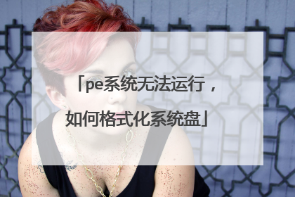 peϵͳ�޷����У���θ�ʽ��ϵͳ��