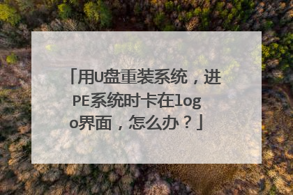 ��U����װϵͳ����PEϵͳʱ����logo���棬��ô�죿