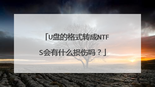 U�̵ĸ�ʽת��NTFS����ʲô������