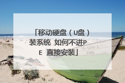 �ƶ�Ӳ�̣�U�̣�װϵͳ ��β���PE ֱ�Ӱ�װ