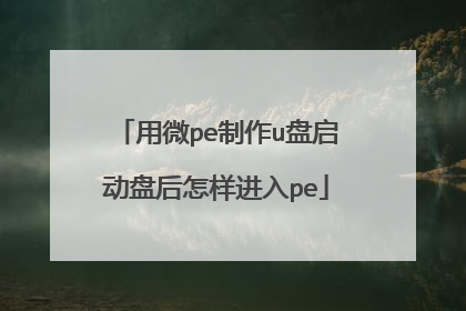 ��΢pe����u�������̺���������pe