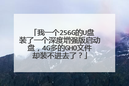 ��һ��256G��U��װ��һ�������ǿ�������̣�4G���GHO�ļ�ȴװ����ȥ�ˣ�