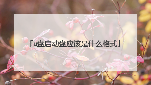 u��������Ӧ����ʲô��ʽ