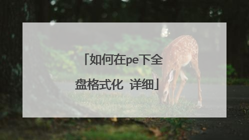 �����pe��ȫ�̸�ʽ�� ��ϸ