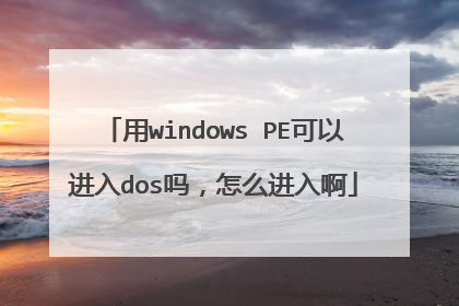 ��windows PE���Խ���dos����ô���밡