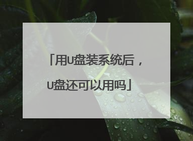 ��U��װϵͳ��U�̻���������