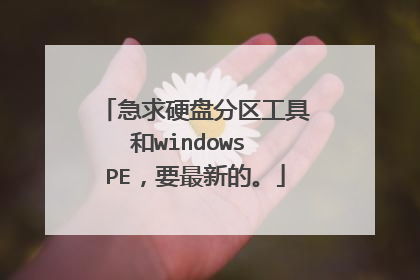 ����Ӳ�̷������ߺ�windows PE��Ҫ���µġ�
