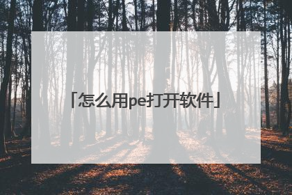 ��ô��pe������