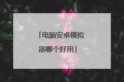 ���԰�׿ģ�����ĸ�����