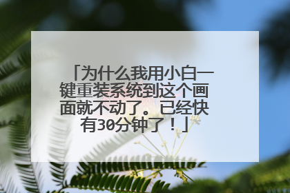 Ϊʲô����С��һ����װϵͳ���������Ͳ����ˡ��Ѿ�����30�����ˣ�