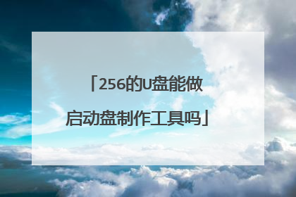 256��U����������������������