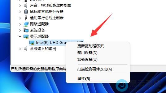 ѡ�������������