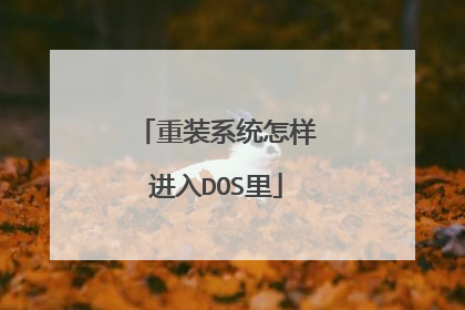 ��װϵͳ��������DOS��