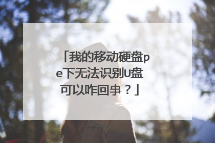 �ҵ��ƶ�Ӳ��pe���޷�ʶ��U�̿���զ���£�