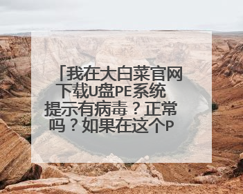 ���ڴ�ײ˹�������U��PEϵͳ��ʾ�в�������������������PEϵͳ�¿������������Ի��в�����