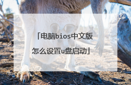 ����bios���İ���ô����u������