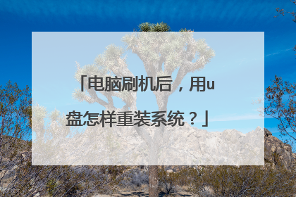 ����ˢ������u��������װϵͳ��