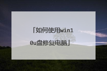 ���ʹ��win10u���޸�����