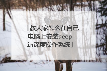 �̴����ô���Լ������ϰ�װdeepin��Ȳ���ϵͳ