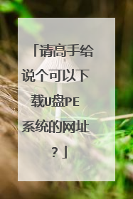 ����ָ�˵����������U��PEϵͳ����ַ��