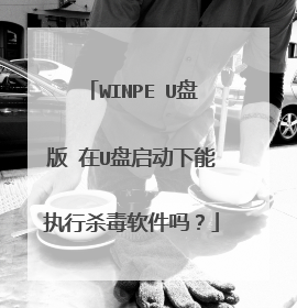 WINPE U�̰� ��U����������ִ��ɱ��������