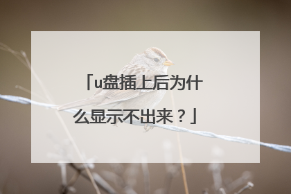 u�̲��Ϻ�Ϊʲô��ʾ��������