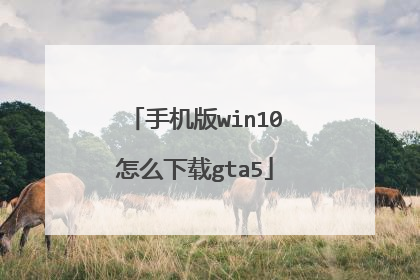 �ֻ���win10��ô����gta5