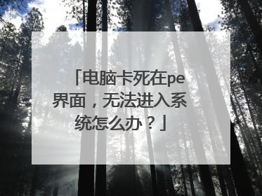 ���Կ�����pe���棬�޷�����ϵͳ��ô�죿