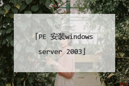 PE ��װwindows server 2003