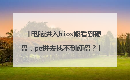 ���Խ���bios�ܿ���Ӳ�̣�pe��ȥ�Ҳ���Ӳ�̣�