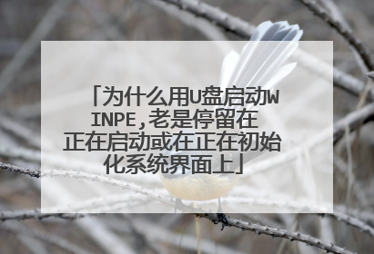 Ϊʲô��U������WINPE,����ͣ�������������������ڳ�ʼ��ϵͳ������