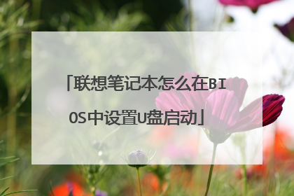 ����ʼǱ���ô��BIOS������U������