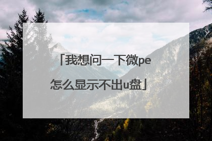 ������һ��΢pe��ô��ʾ����u��