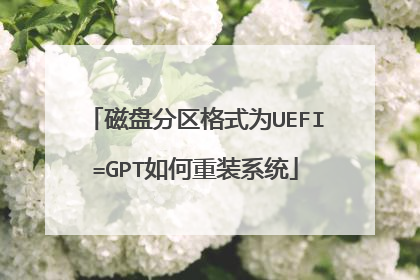 ���̷�����ʽΪUEFI=GPT�����װϵͳ
