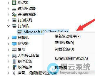 ѡ�������������