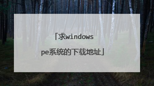 ��windows peϵͳ�����ص�ַ