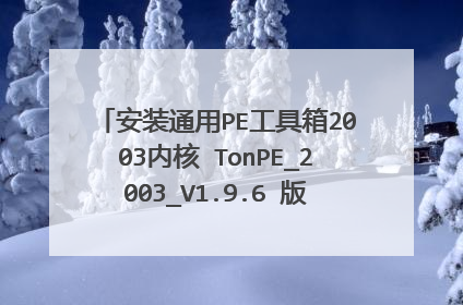 ��װͨ��PE������2003�ں� TonPE_2003_V1.9.6 �汾��,��������������PE������,�������?