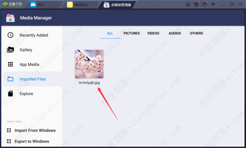 BlueStacks�������ͼƬ�ķ����̳�