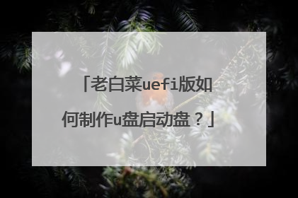 �ϰײ�uefi���������u�������̣�