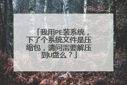 ����PEװϵͳ�����˸�ϵͳ�ļ���ѹ������������Ҫ��ѹ��U��ô��