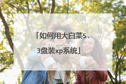 ����ô�ײ�5.3��װxpϵͳ