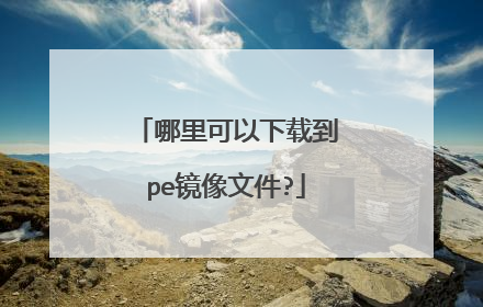 ����������ص�pe�����ļ�?