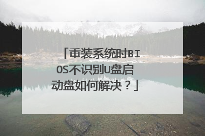 ��װϵͳʱBIOS��ʶ��U����������ν����