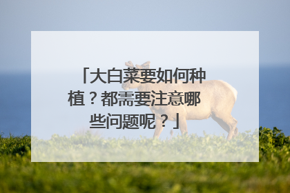 ��ײ�Ҫ�����ֲ������Ҫע����Щ�����أ�