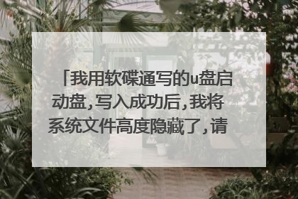 ��������ͨд��u��������,д��ɹ���,�ҽ�ϵͳ�ļ��߶�������,����Ӧ����ôɾ��,��ô�����ص��ļ�ɾ��