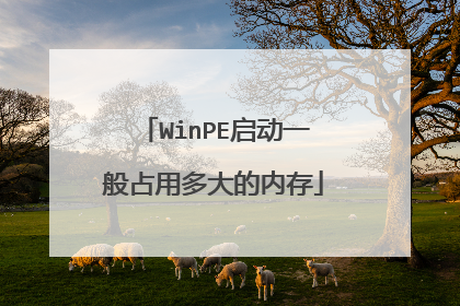 WinPE����һ��ռ�ö����ڴ�