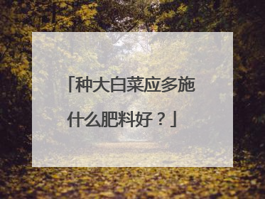 种大白菜应多施什么肥料好?