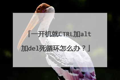 һ������CTRL��alt��del��ѭ����ô�죿